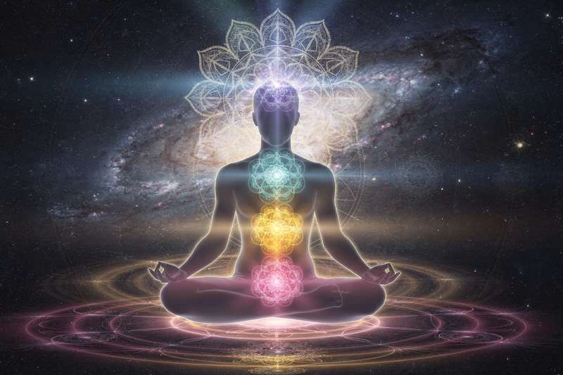 Representación visual de los siete chakras alineados en el cuerpo humano con sus colores característicos desde la raíz hasta...